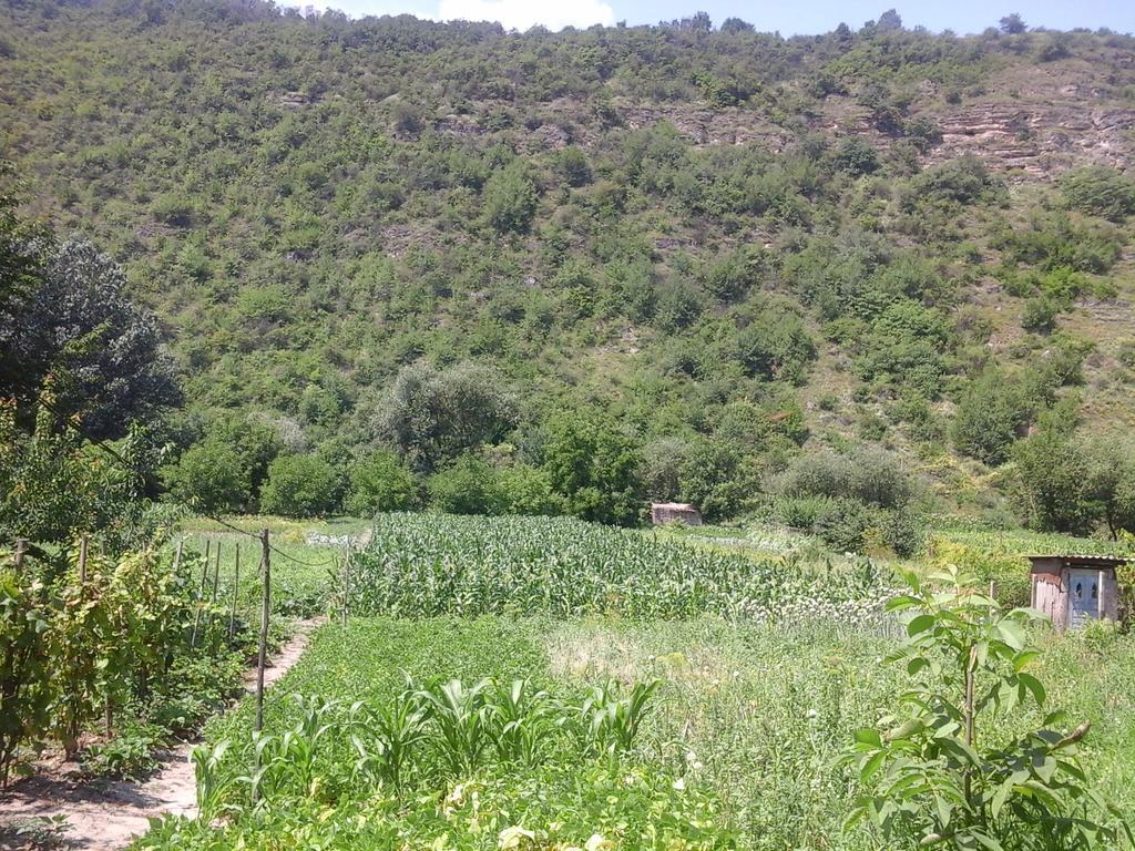 La Popas Ξενοδοχείο Orhei Εξωτερικό φωτογραφία