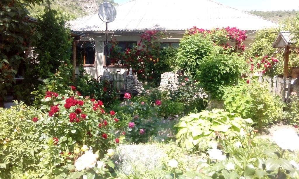 La Popas Ξενοδοχείο Orhei Εξωτερικό φωτογραφία